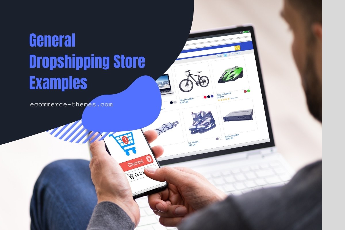 General Dropshipping Store Examples